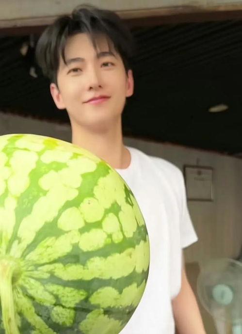 杨洋吃瓜视频,揭秘娱乐圈幕后故事