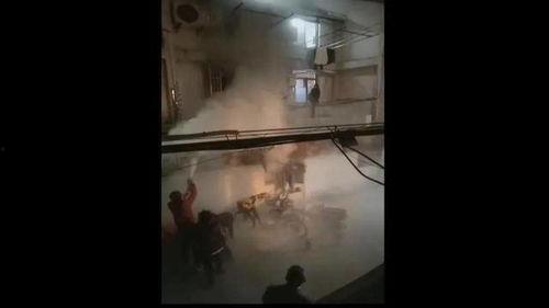 吃瓜属于生死本能,揭秘人类共通的情感体验