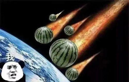 小孩在瓜地吃瓜的文案,瓜地里的欢乐食光