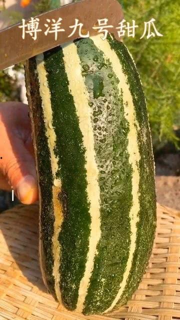 吃瓜手机壁纸高清,高清吃瓜手机壁纸赏析