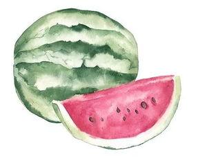 刀刀在线吃瓜,揭秘娱乐圈幕后风云