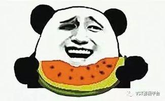 樱梦吃瓜群众,揭秘娱乐圈幕后故事