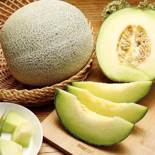 吃最贵的蜜瓜,探寻最贵蜜瓜的极致口感之旅