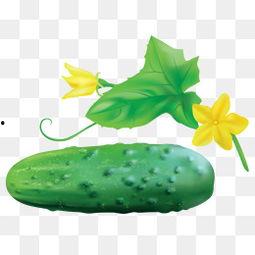 图片吃瓜素材大全,盘点全网最全吃瓜素材大全