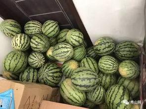 广州涉外吃瓜视频,一窥城市文化冲突与网络舆论场