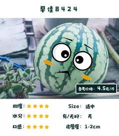 长沙猜拳吃瓜,猜拳吃瓜，趣味横生的夏日风情