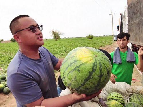 沂水吃瓜新闻,揭秘背后真相与网络舆论风暴