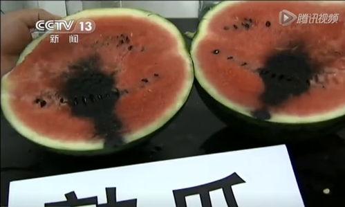 生动的吃瓜视频,一场吃瓜视频的视觉盛宴