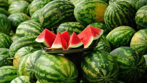 不甜吃瓜,品味清新生活新风尚