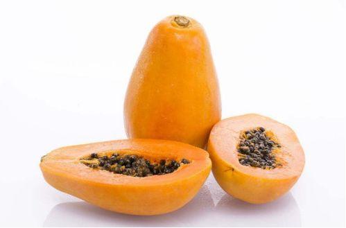 猫吃梨瓜榨汁,梨瓜榨汁的奇妙食旅