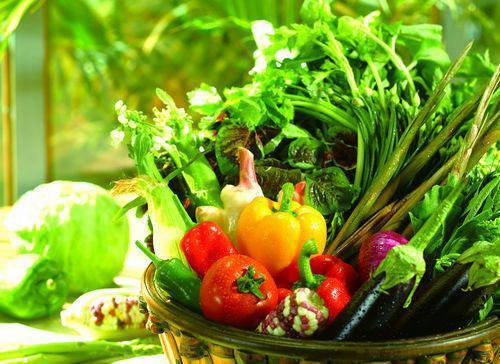 陈某卉吃瓜网站,吃瓜网站背后的故事与影响