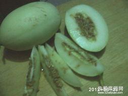 吃瓜有趣趣事,那些让人捧腹大笑的吃瓜趣事