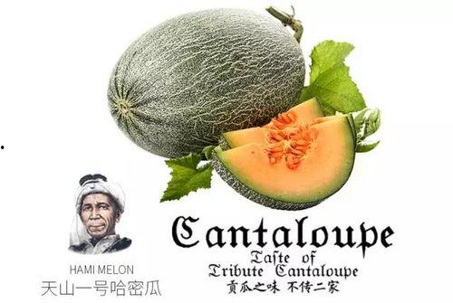 吃瓜大师工作号,带你领略网络舆论风向标