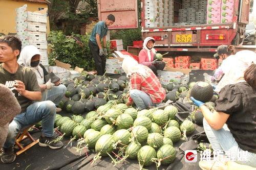 吃瓜的前线,揭秘娱乐圈幕后风云