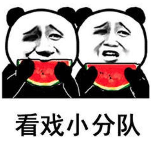 吃瓜表情壁纸,趣味横生的视觉盛宴