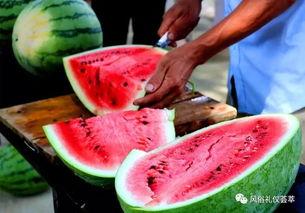 梦见地里摘了很多瓜吃瓜,丰收之地，瓜果飘香