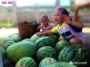 梦见地里摘了很多瓜吃瓜,丰收之地，瓜果飘香