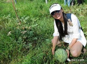 梦见地里摘了很多瓜吃瓜,丰收之地，瓜果飘香
