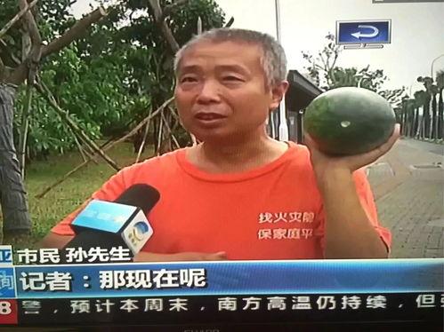 呼市吃瓜群众事件,网络舆论的风暴与反思