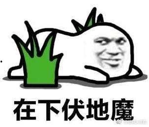 吃瓜不如吃鸡什么意思,揭秘网络流行语的趣味与内涵