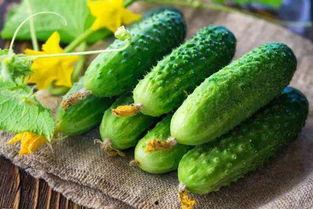 爱发电吃瓜,揭秘娱乐圈背后的秘密与八卦