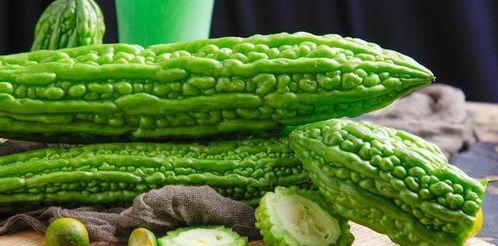 多肉茉莉吃瓜,多肉茉莉的瓜界奇遇记