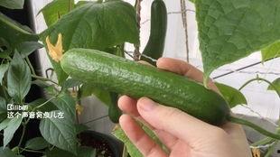 没日吃瓜网,没日吃瓜网带你领略明星幕后故事