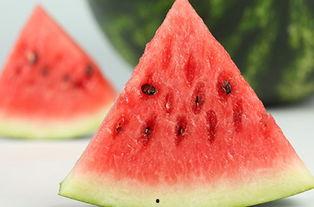 生徒会长 吃瓜,校园风云再起