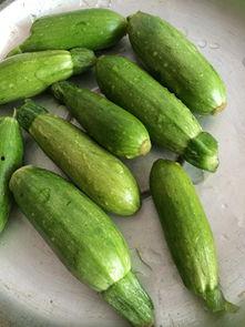 小孩可以吃小角瓜,营养美味的小角瓜食谱