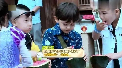 直播哭着吃瓜,网友直播哭泣吃瓜，情感共鸣引发热议