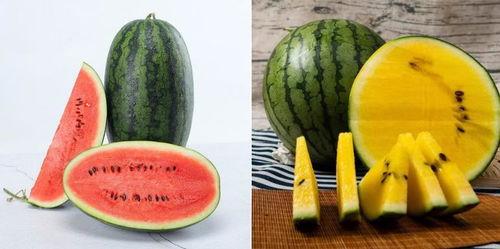 吃瓜会吃到自己的瓜吗