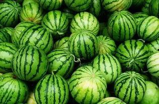 史上最炸裂吃瓜,揭秘幕后真相与惊人内幕