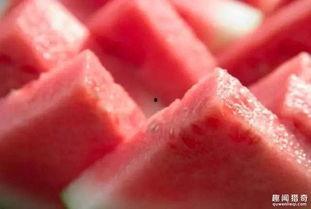 木鱼吃瓜是什么意思,网络流行语的趣味解读