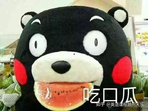 木鱼吃瓜是什么意思,网络流行语的趣味解读