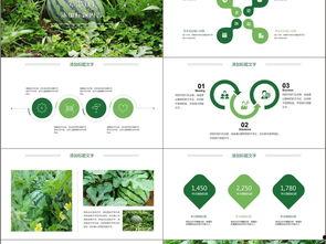 带你吃瓜绿色作文素材,带你探寻“带你吃瓜”背后的绿色故事