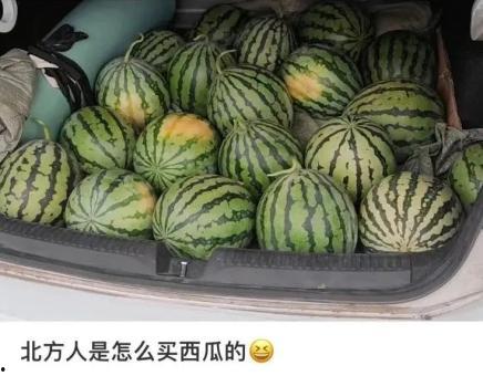 上海人吃瓜,揭秘沪上居民的消暑美食情缘