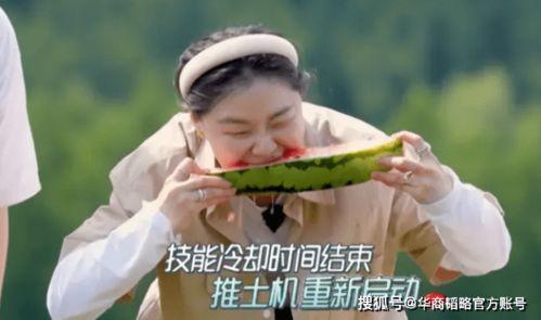 还有谁愿意吃瓜,揭秘还有谁愿意吃瓜的神秘力量