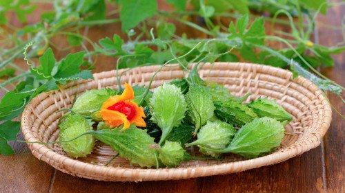 减肥可吃土瓜吗