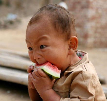 吃小瓜的句子,揭秘“吃小瓜”背后的趣味与智慧