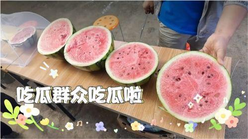 尝到吃瓜的滋味,品味生活百态