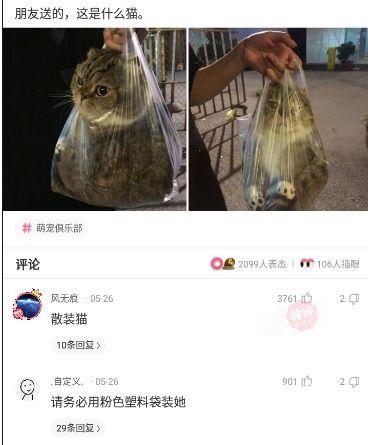 大胆贼子吃瓜,揭秘江湖奇闻轶事