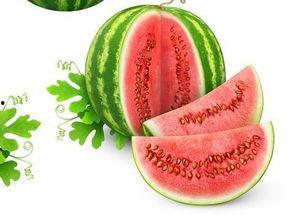 吃瓜周广鹭,揭秘娱乐圈背后的真实故事