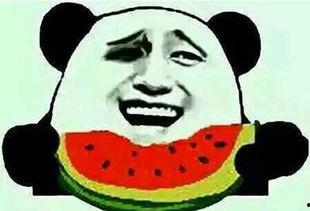 生日吃瓜,揭秘娱乐圈明星们的甜蜜“瓜”事