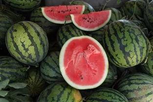 两块吃瓜,揭秘娱乐圈背后的秘密