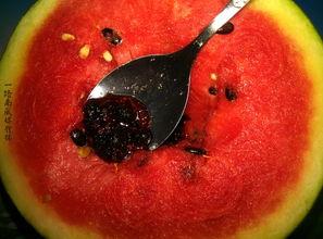 广东夫妇带你吃瓜