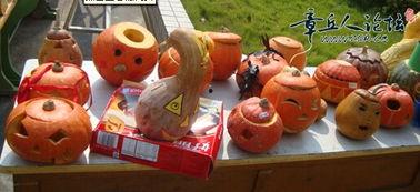 吃瓜吃东西吃糖果,吃瓜、吃东西、吃糖果的趣味之旅