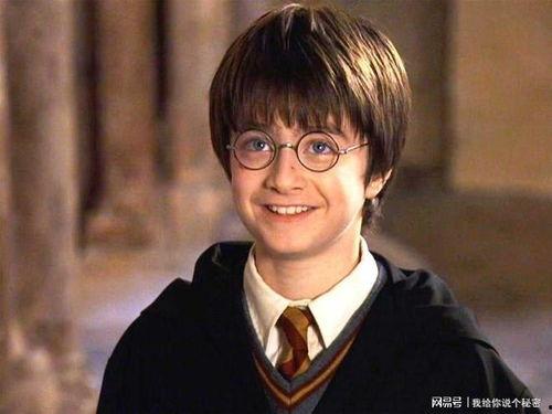 哈利波特灌灌吃瓜,灌灌吃瓜，揭秘魔法世界的神秘瓜果