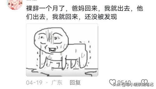 吃瓜和朋友分享,与友共享欢乐时光