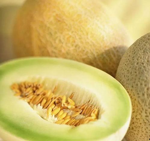 吃小白瓜 减肥吗