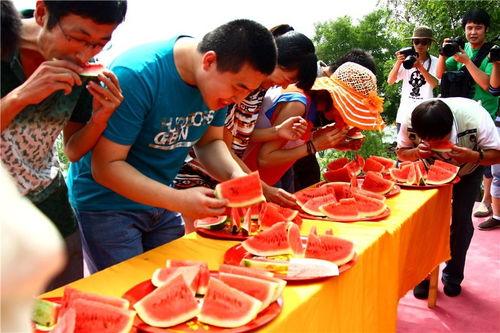 吃瓜大聚会,揭秘吃瓜大聚会的欢乐时光